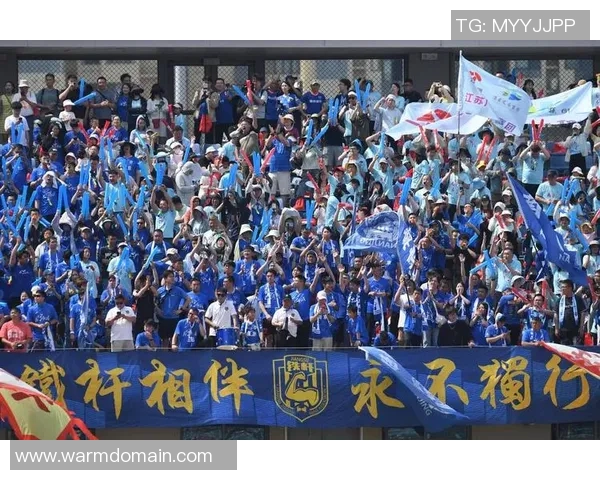 重庆足球队与南京足球队耐力较量赛后分析与总结